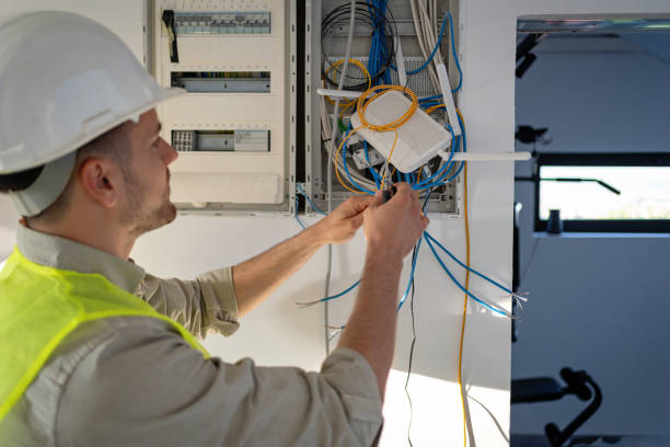 Best Electric Panel Repair  in Lonaconing, MD